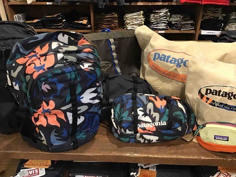 Patagonia  ����