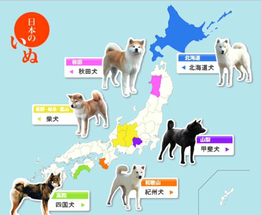 日本犬を語るトピ 女性の社会進出ちゃんねる