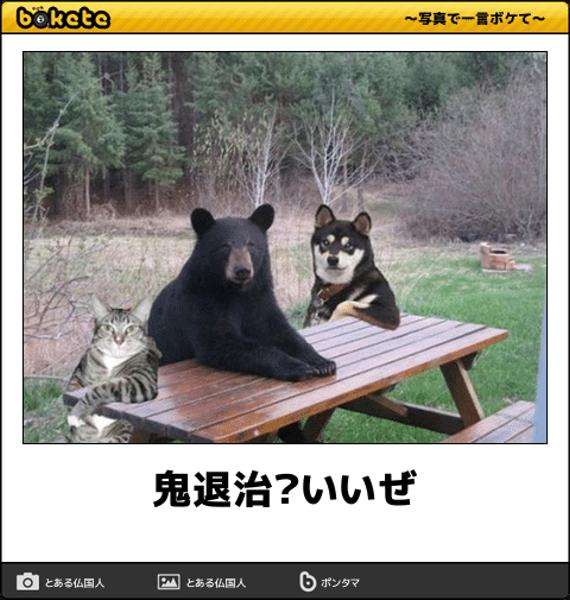動物の ボケて を貼っていくトピ 残飯ちゃんねる 動物の ボケて を貼っていくトピ 残飯ちゃんねる