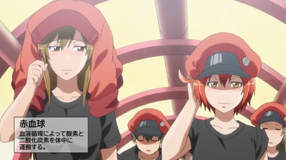 SnapCrab_NoName_2023-_49o-01