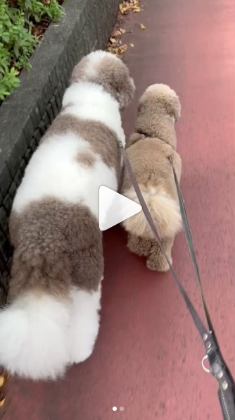 SnapCrab_NoName_2023-_7o-00