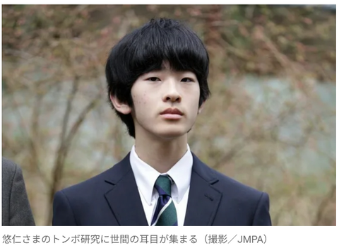 SnapCrab_NoName_2024-7-1No-00