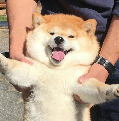 SnapCrab_NoName_2017-3-8_0-53-41_No-00