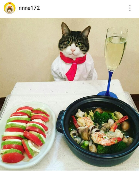 SnapCrab_NoName_2017-4-5_5-7-53_No-00