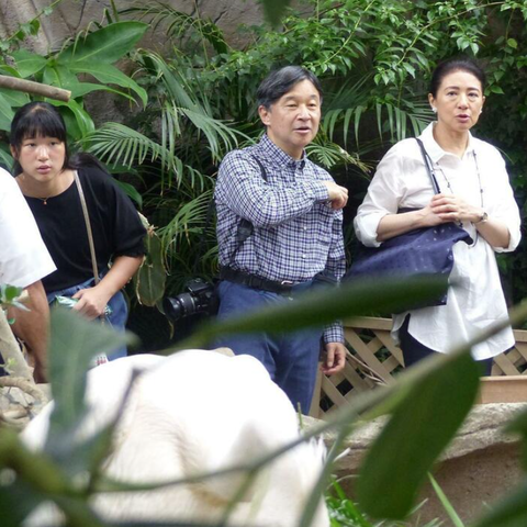 SnapCrab_NoName_2023-3-31_20-3-4_No-00