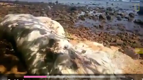 SnapCrab_NoName_2017-3-4_1-20-2_No-00