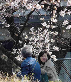 SnapCrab_NoName_2017-4-12_16-38-1_No-00