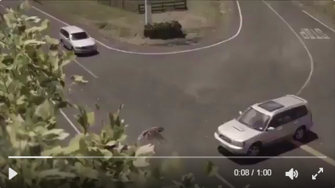 SnapCrab_NoName_2017-4-7_22-41-28_No-00