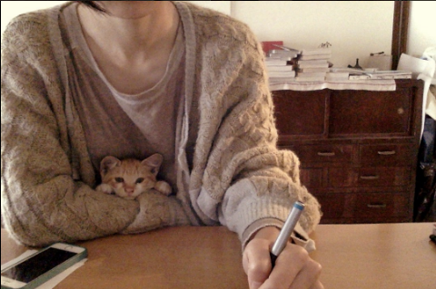 SnapCrab_NoName_2017-4-8_23-55-35_No-00