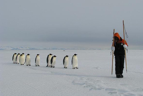 SnapCrab_NoName_2017-3-1_20-36-55_No-00