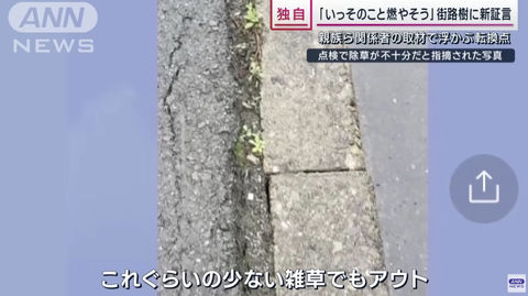 SnapCrab_NoName_2023-_42o-02