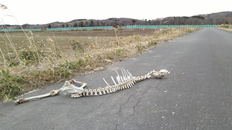 SnapCrab_NoName_2017-4-8_21-35-59_No-00