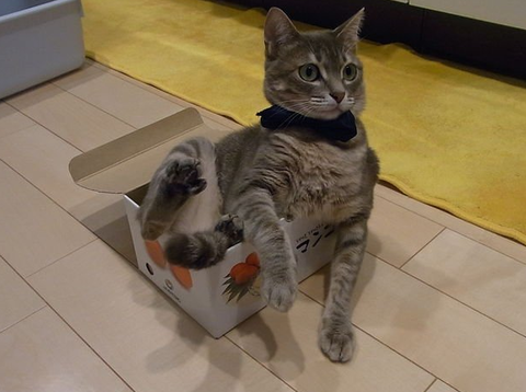 SnapCrab_NoName_2017-3-1_20-6-13_No-00