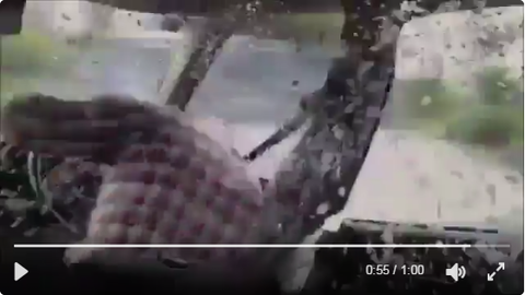 SnapCrab_NoName_2017-4-7_22-44-12_No-00