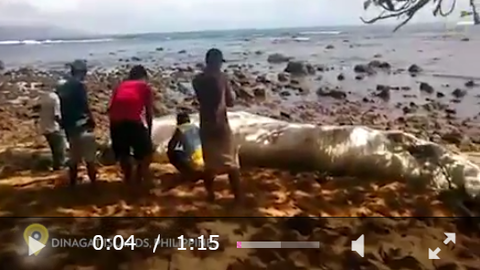 SnapCrab_NoName_2017-3-4_1-19-44_No-00