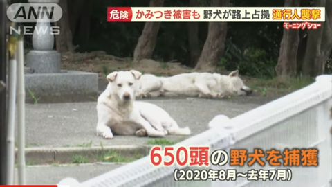 SnapCrab_NoName_2022-6-22_21-28-50_No-00