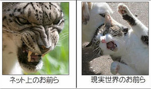 SnapCrab_NoName_2017-4-3_9-35-4_No-00