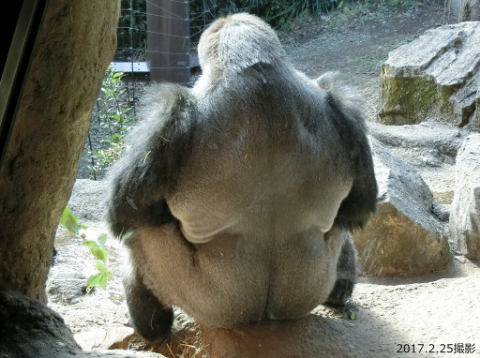 SnapCrab_NoName_2017-3-7_16-23-28_No-00