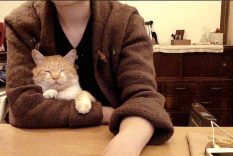 SnapCrab_NoName_2017-4-8_23-55-42_No-00