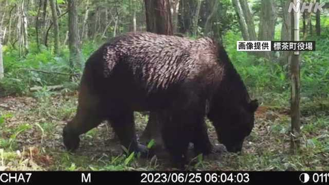 SnapCrab_NoName_2023-_14o-00