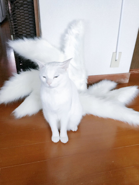 SnapCrab_NoName_2017-3-12_22-47-7_No-00