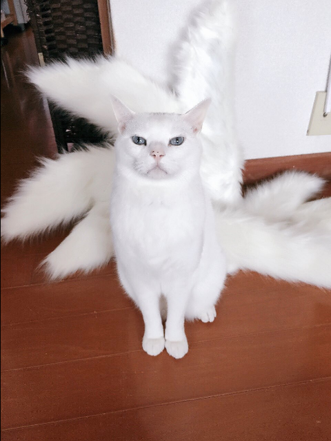 SnapCrab_NoName_2017-3-12_22-46-59_No-00