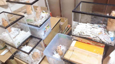 SnapCrab_NoName_2017-4-3_21-31-59_No-00