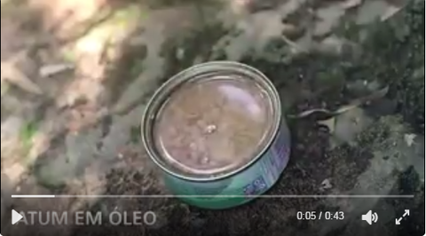 SnapCrab_NoName_2017-3-9_1-0-15_No-00