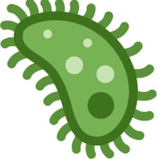 SnapCrab_NoName_2024-11-1No-03