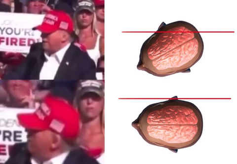 SnapCrab_NoName_2024-7-15No-00