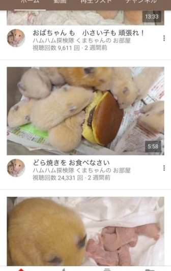 SnapCrab_NoName_2017-4-3_21-28-55_No-00