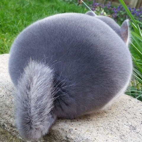 SnapCrab_NoName_2017-3-4_17-5-30_No-00