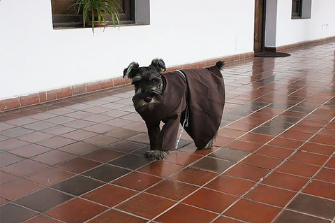 SnapCrab_NoName_2017-3-9_23-21-11_No-00