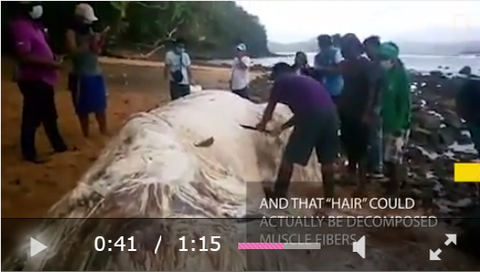 SnapCrab_NoName_2017-3-4_1-20-16_No-00