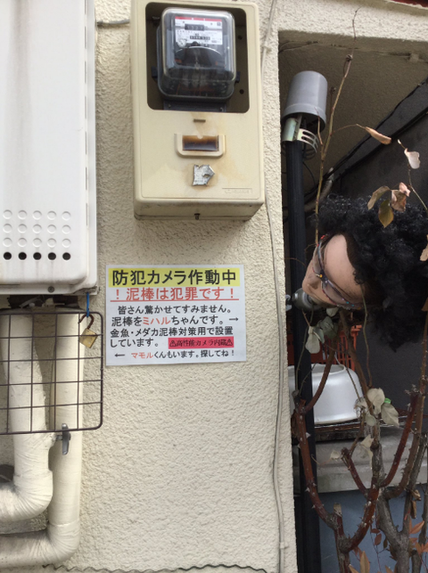 SnapCrab_NoName_2017-3-9_23-16-4_No-00