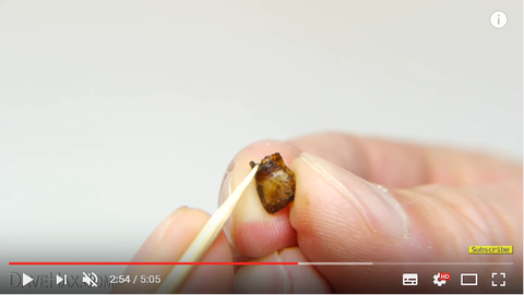 SnapCrab_NoName_2017-3-13_2-6-5_No-00