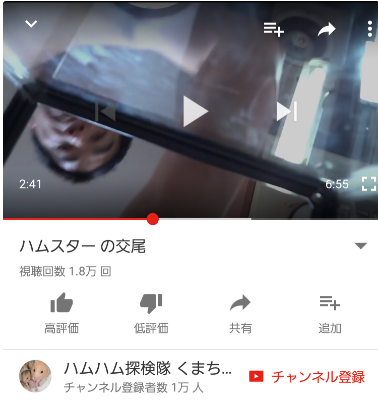 SnapCrab_NoName_2017-4-3_21-39-10_No-00