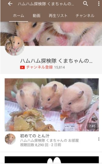 SnapCrab_NoName_2017-4-3_21-28-44_No-00