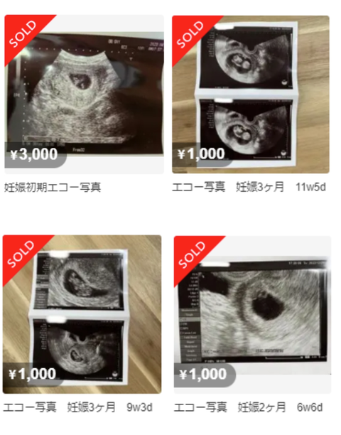 SnapCrab_NoName_2023-_11o-00