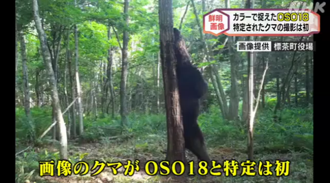 SnapCrab_NoName_2023-_15o-00