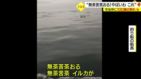 SnapCrab_NoName_2023-_46o-02