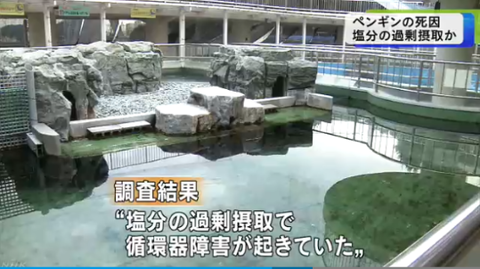 SnapCrab_NoName_2019-2-12_23-9-14_No-00