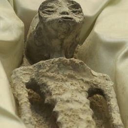 SnapCrab_NoName_2023-_34o-00