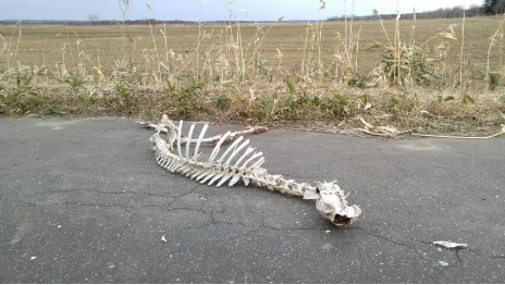 SnapCrab_NoName_2017-4-8_21-36-7_No-00