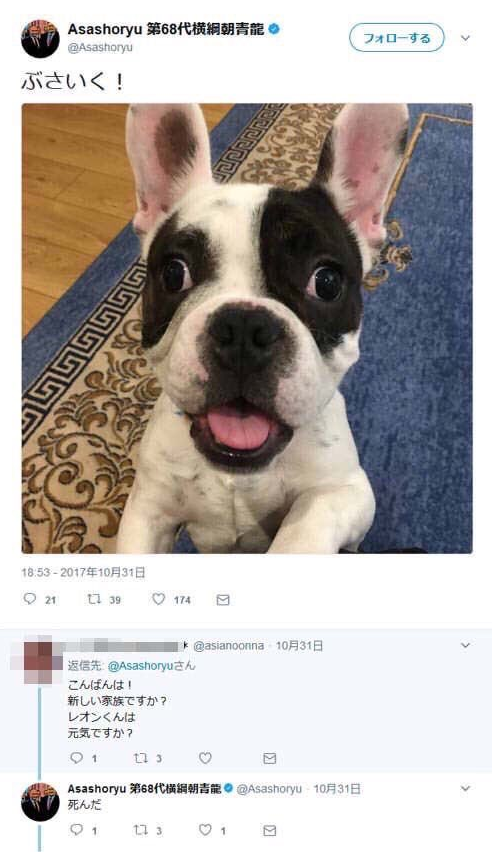 秘宝 朝青龍のツイッターの返信がガチで面白すぎると話題 ３万いいね ガールズ速報 がるそく