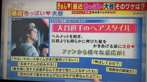 SnapCrab_NoName_2024-5-1No-05