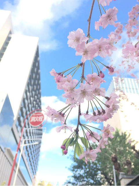 SnapCrab_NoName_2017-4-8_23-53-1_No-00