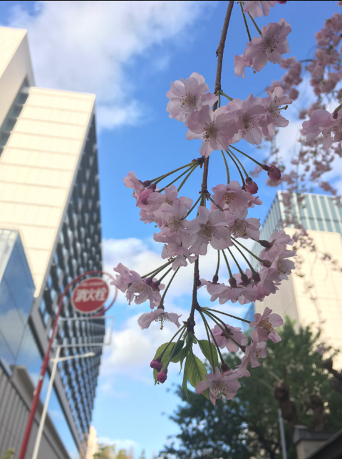 SnapCrab_NoName_2017-4-8_23-52-54_No-00