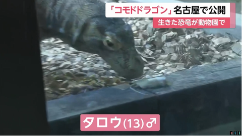 SnapCrab_NoName_2024-8-23No-03