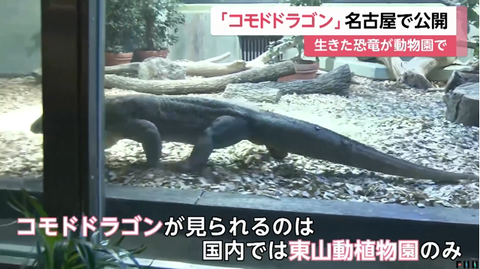 SnapCrab_NoName_2024-8-23No-02